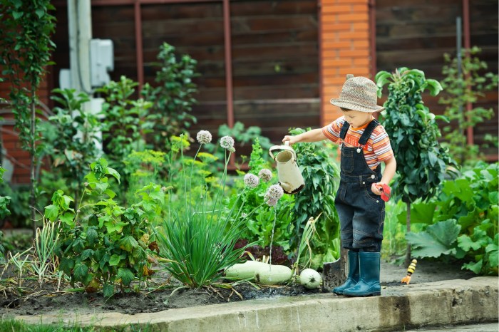 How to grow a garden with kids